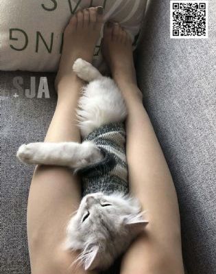 单身男女2免费观看完整版