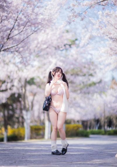 热门电视剧2024排行榜
