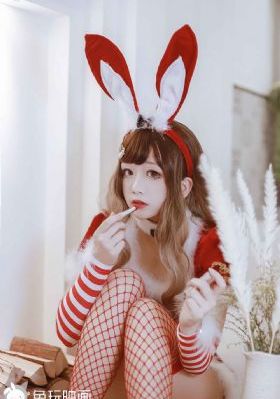 全网网站