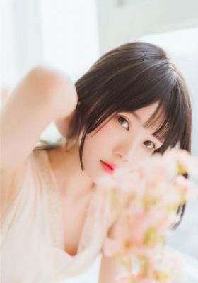 护心电视剧